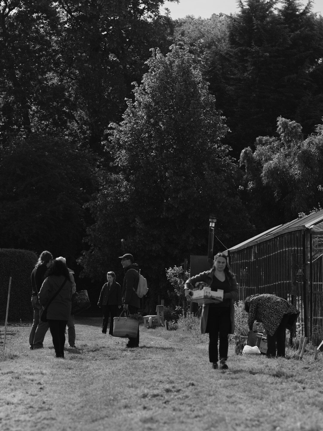 elderly people in community garden