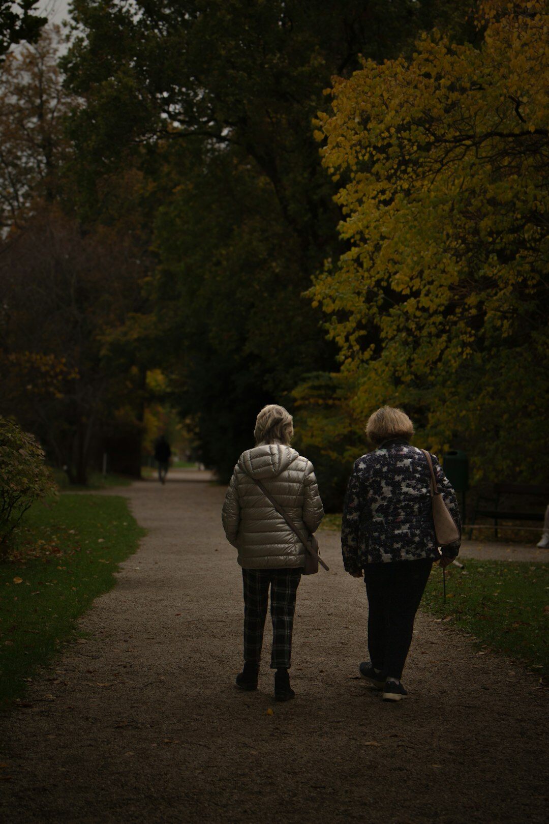 senior couple walking in park