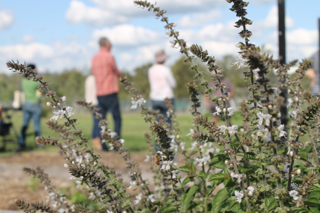 Seniors gardening together in a community garden